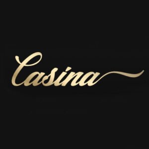 casina casino vicking